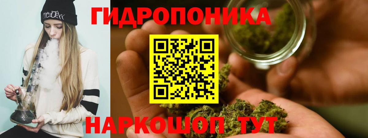Тихвин  Шишки марихуана Bruce Banner  Вход с VPN  Каннабис LSD WEED  Конопля гибрид  Шишки марихуана планчик 